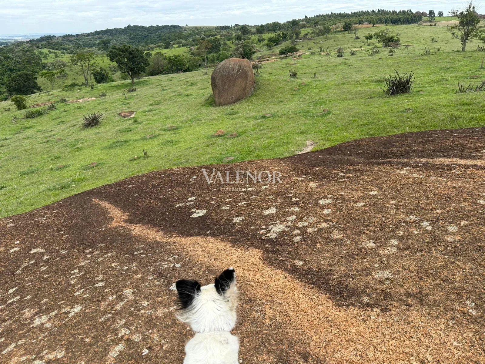 Fazenda, 217 hectares - Foto 30