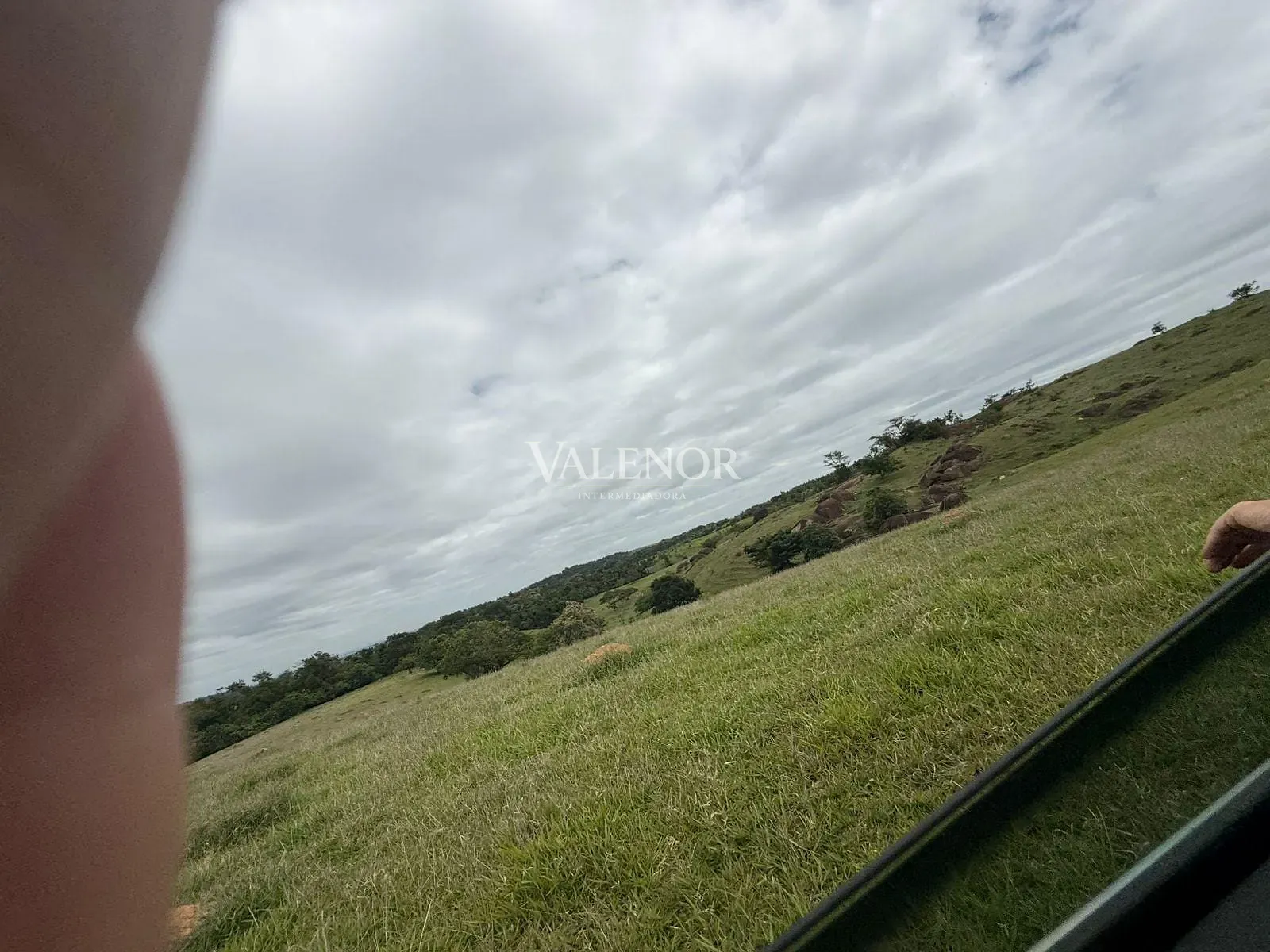 Fazenda, 217 hectares - Foto 37