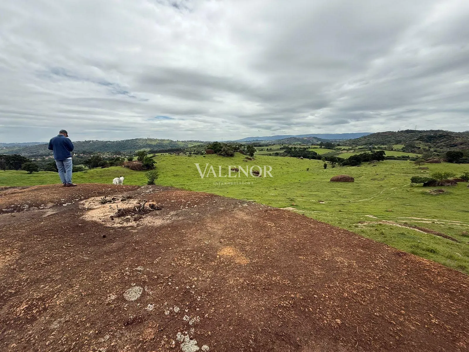 Fazenda, 217 hectares - Foto 40