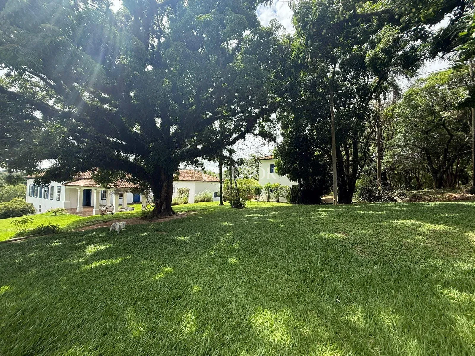 Fazenda, 217 hectares - Foto 46