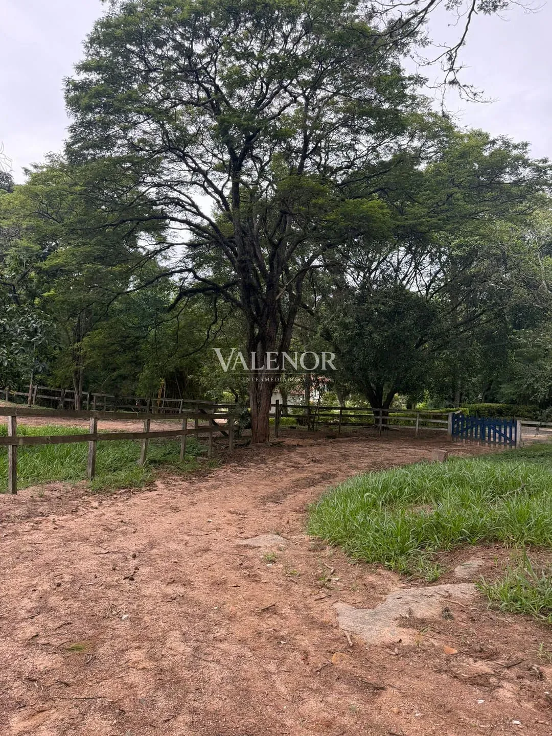 Fazenda, 217 hectares - Foto 52