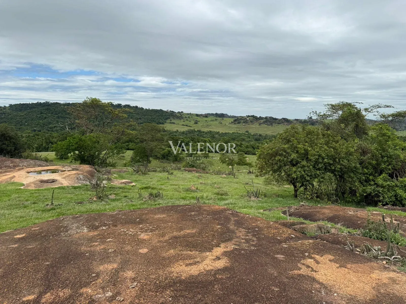 Fazenda, 217 hectares - Foto 55