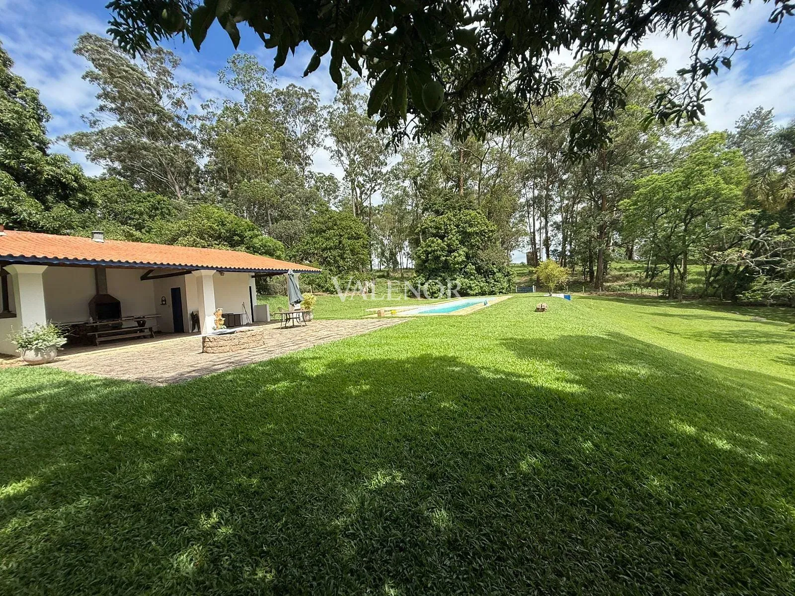 Fazenda, 217 hectares - Foto 62