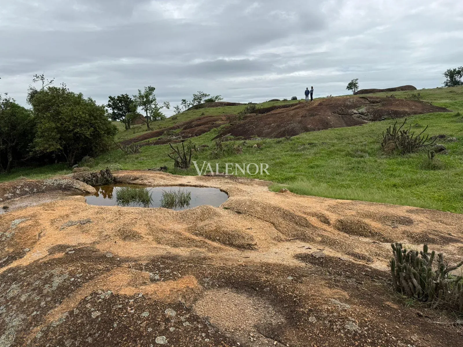 Fazenda, 217 hectares - Foto 63