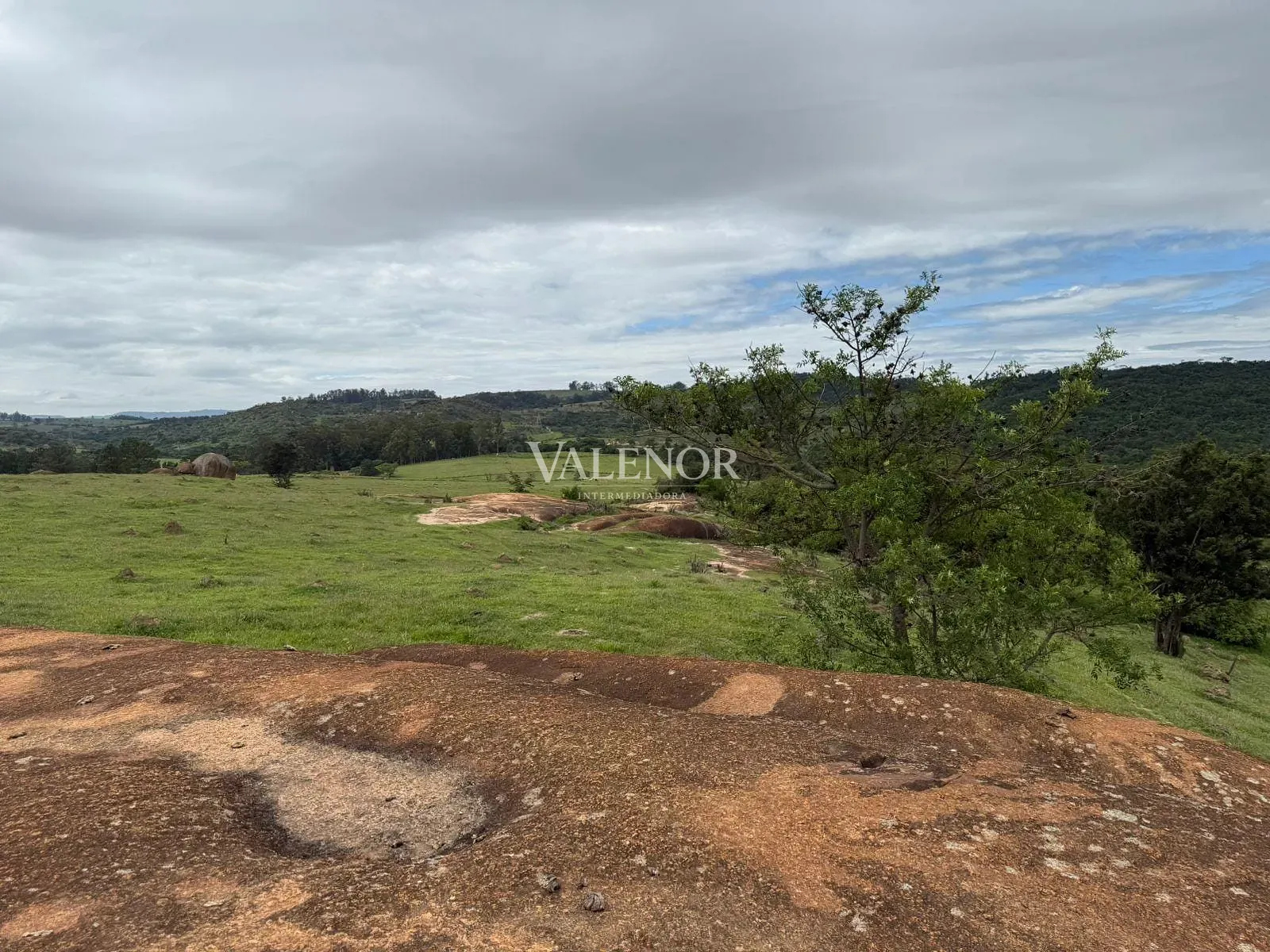 Fazenda, 217 hectares - Foto 64