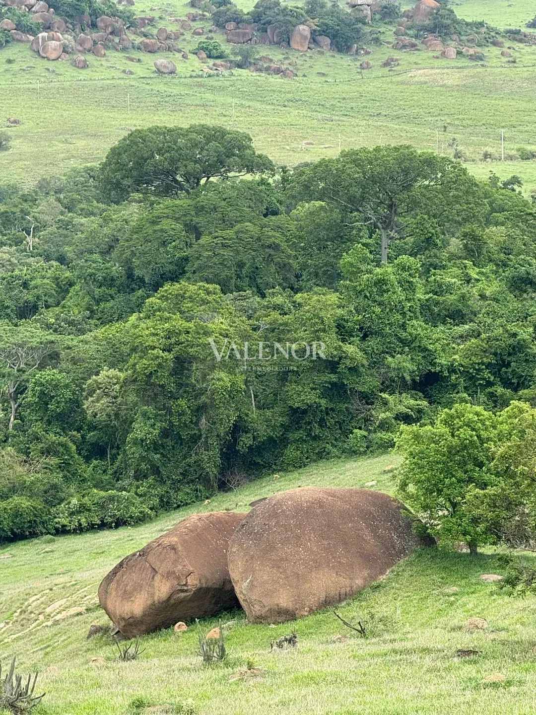 Fazenda, 217 hectares - Foto 67