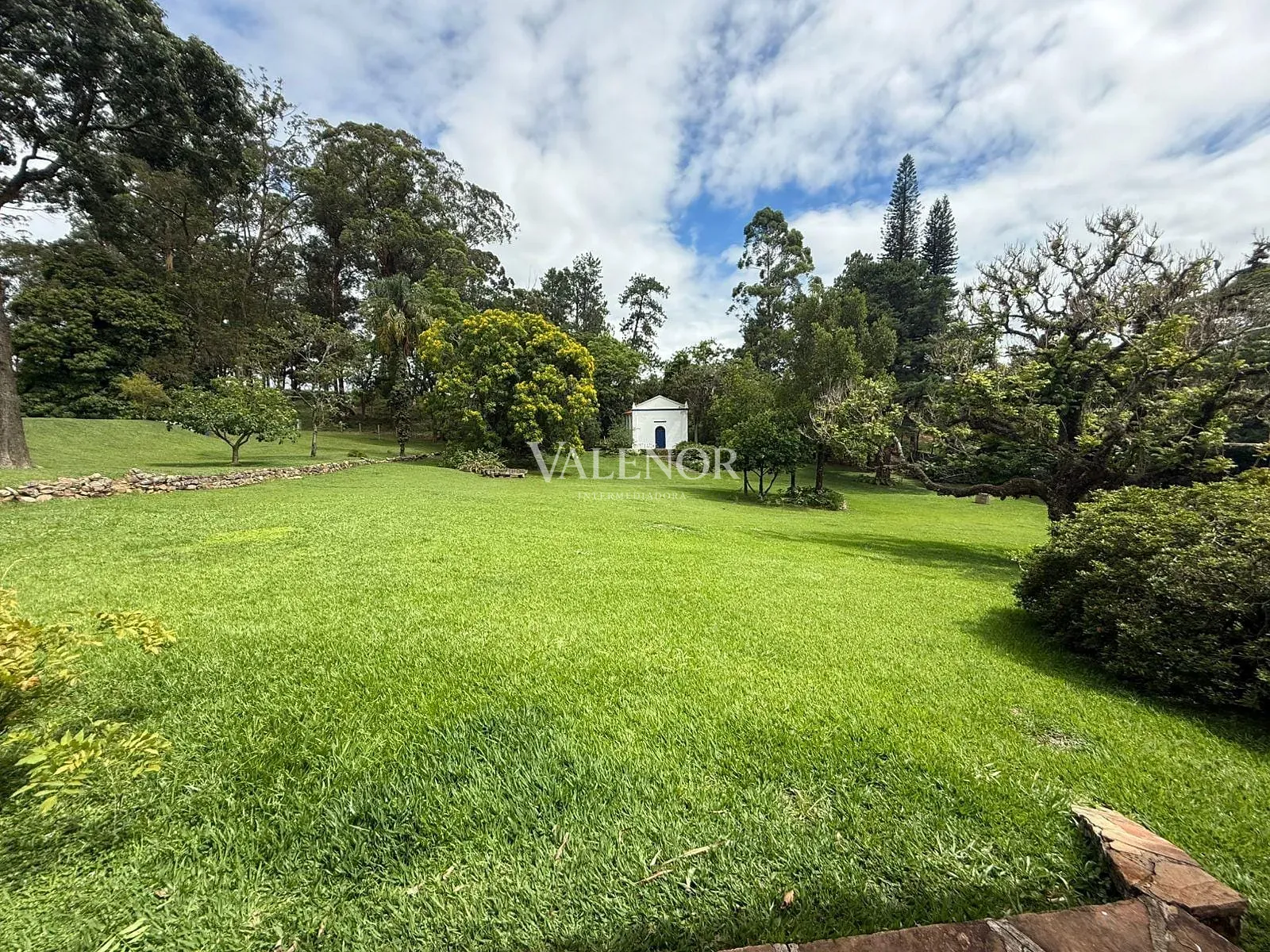 Fazenda, 217 hectares - Foto 71