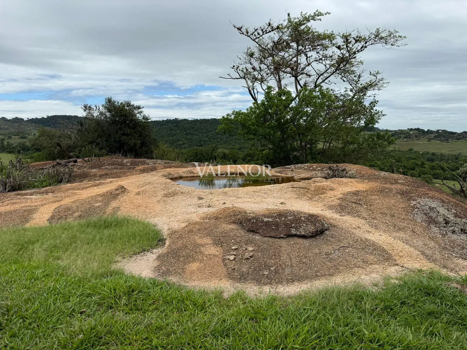 Fazenda, 217 hectares - Foto 73