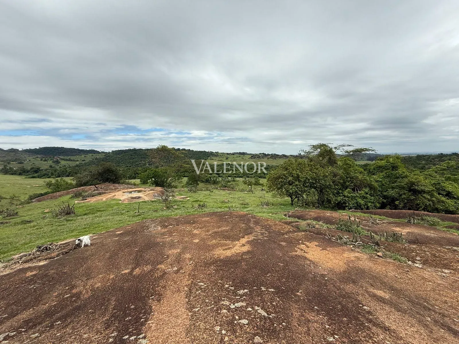 Fazenda, 217 hectares - Foto 76