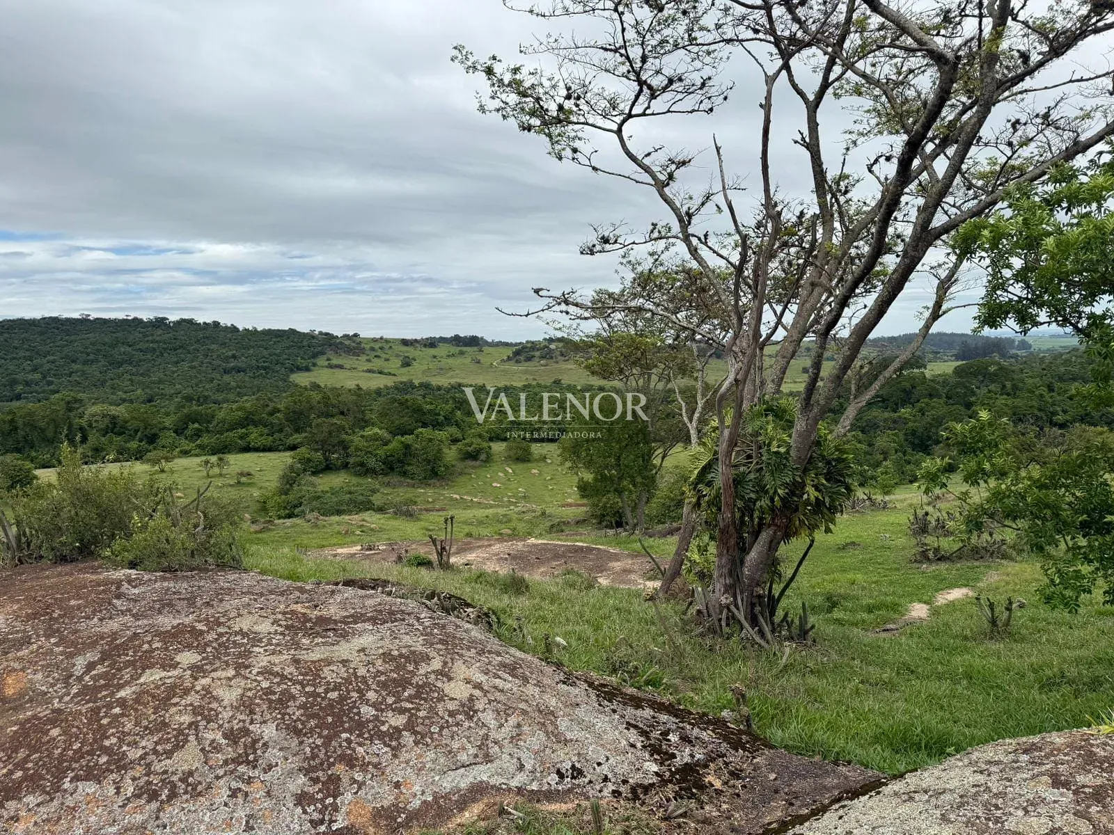 Fazenda, 217 hectares - Foto 79