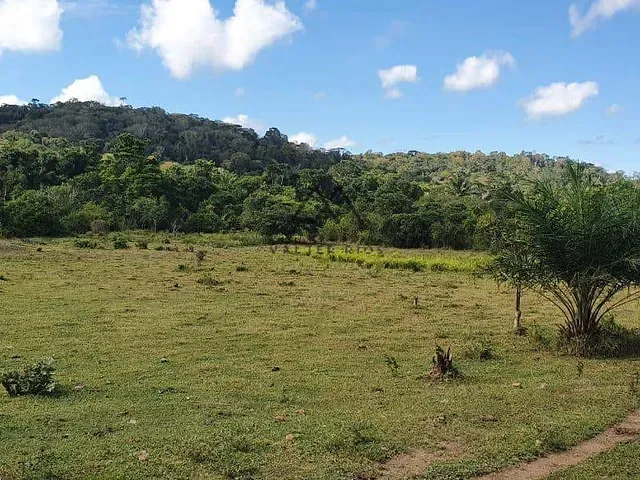 Fazenda com 620000m², à venda, no bairro Coaraci em Coaraci