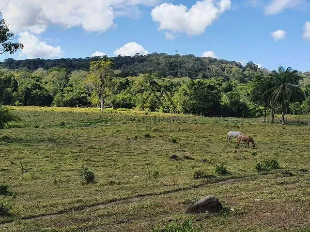 Fazenda com 620000m², à venda, no bairro Coaraci em Coaraci