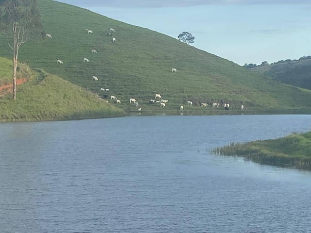 Foto do Fazenda - Fazenda à venda, Vila Santos, Caçapava, SP | BBUSINESS
