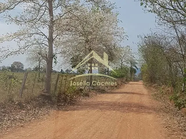 Fazenda com 2650m² 8 quartos e 5 banheiros, à venda, no bairro Centro em Cáceres