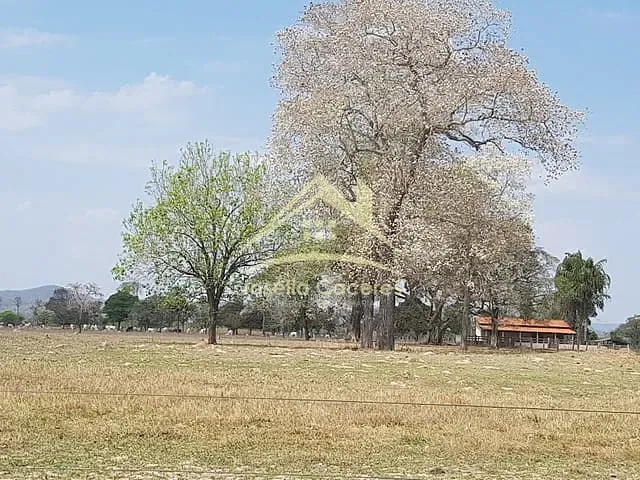 Fazenda com 2650m² 8 quartos e 5 banheiros, à venda, no bairro Centro em Cáceres