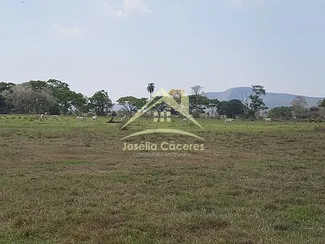 Fazenda com 2650m² 8 quartos e 5 banheiros, à venda, no bairro Centro em Cáceres