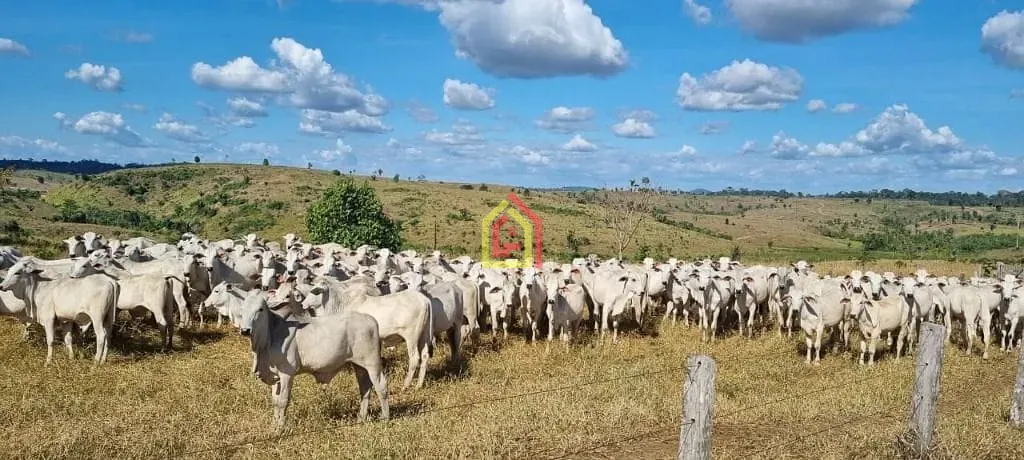 Rural à venda com 17085200m² de terreno no Zona Rural, Itupiranga (PA) — foto 5 de 9