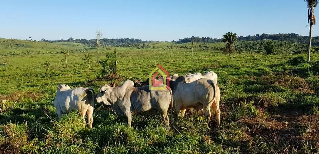 Rural à venda com 17085200m² de terreno no Zona Rural, Itupiranga (PA) — foto 8 de 9