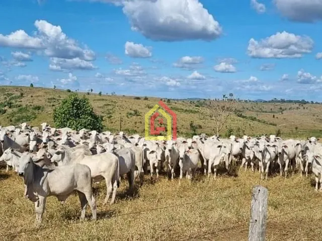 Fazenda com 17085200m², à venda, no bairro Zona Rural em Itupiranga