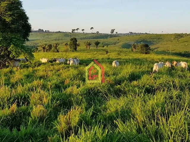 Fazenda com 17085200m², à venda, no bairro Zona Rural em Itupiranga
