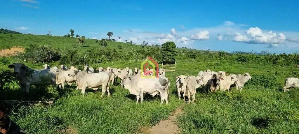 Rural à venda com 17085200m² de terreno no Zona Rural, Itupiranga (PA) — foto 4 de 9