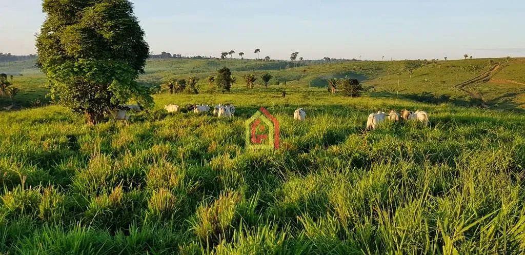 Rural à venda com 17085200m² de terreno no Zona Rural, Itupiranga (PA) — foto 3 de 9