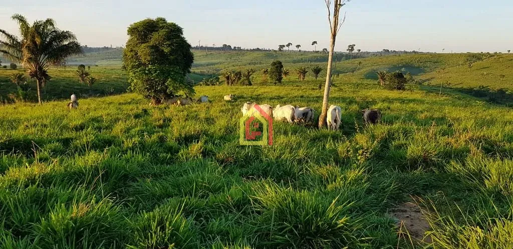 Rural à venda com 17085200m² de terreno no Zona Rural, Itupiranga (PA) — foto 7 de 9