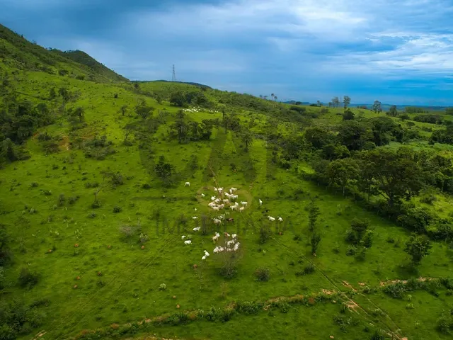 Fazenda com 1358680m², à venda, no bairro Ribeirão em Amparo