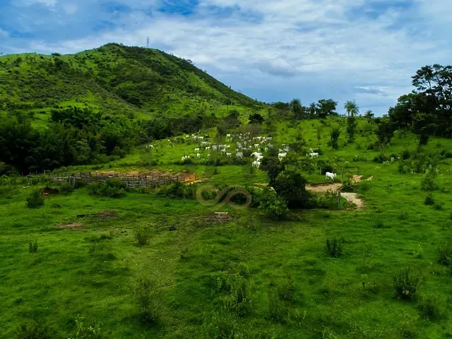 Fazenda com 1358680m², à venda, no bairro Ribeirão em Amparo