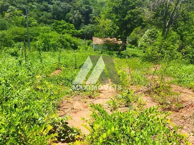 Fazenda à venda, no bairro Zona Rural em Araçuaí
