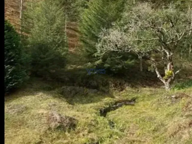 Fazenda com 1580000m² 1 quarto e 1 banheiro, à venda, no bairro Borda Do Campo em Cunha