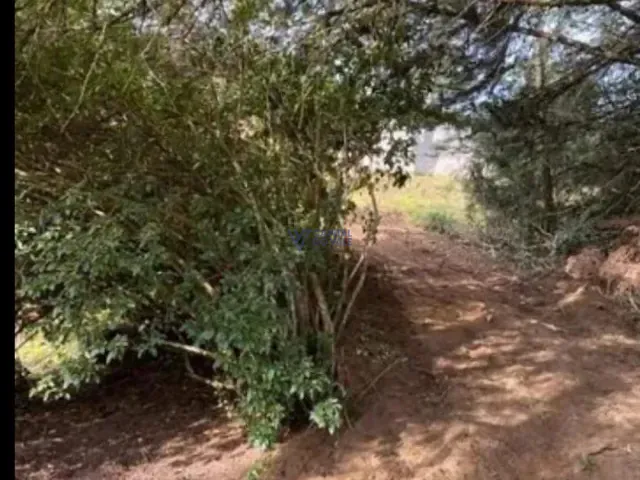 Fazenda com 1580000m² 1 quarto e 1 banheiro, à venda, no bairro Borda Do Campo em Cunha