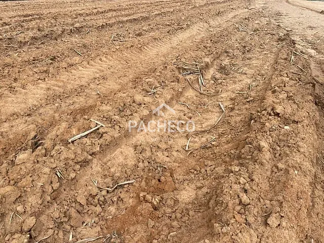 Fazenda com 1064800m², à venda, no bairro Vila Rezende em Piracicaba