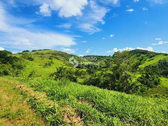 Fazenda com 760000m² 2 quartos e 1 banheiro, à venda, no bairro Zona Rural em Simão Pereira