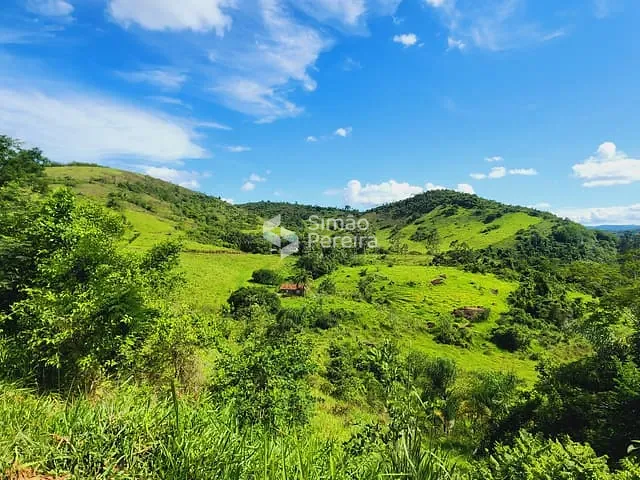 Fazenda com 760000m² 2 quartos e 1 banheiro, à venda, no bairro Zona Rural em Simão Pereira