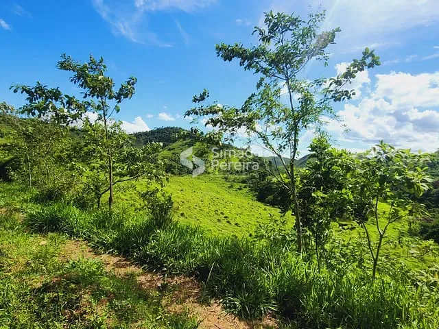 Fazenda com 760000m² 2 quartos e 1 banheiro, à venda, no bairro Zona Rural em Simão Pereira