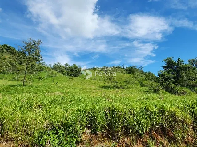 Fazenda com 760000m² 2 quartos e 1 banheiro, à venda, no bairro Zona Rural em Simão Pereira