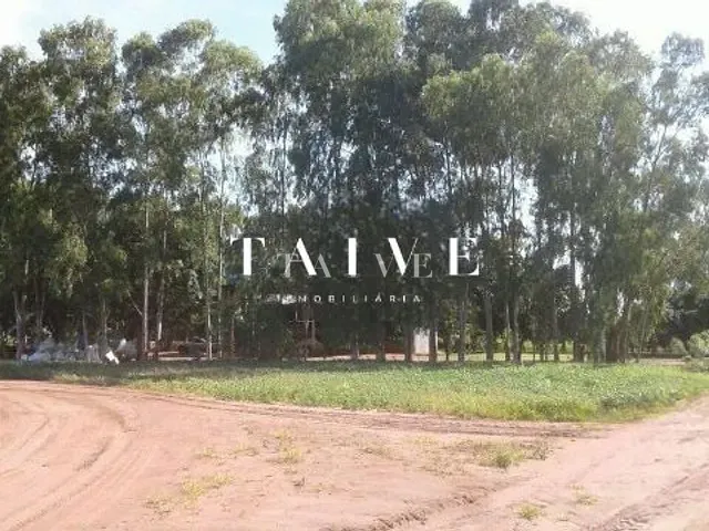 Fazenda com 850m² 2 quartos e 1 banheiro, à venda, no bairro Centro em Sapezal