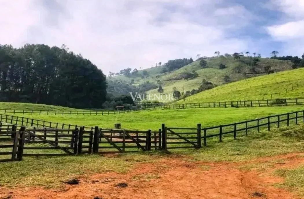 Fazenda, 453 hectares - Foto 2