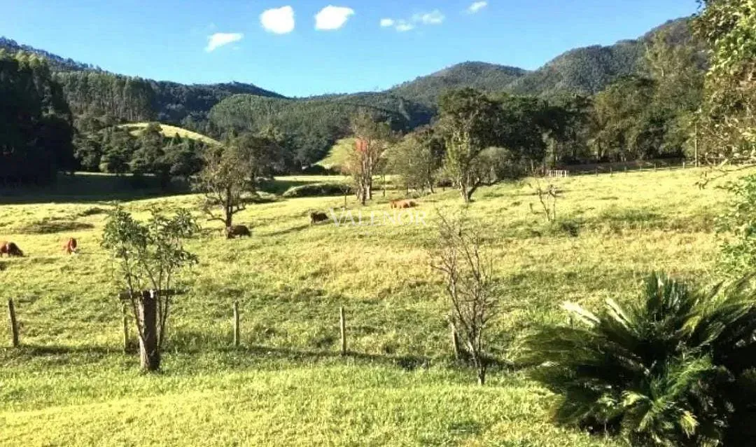 Fazenda, 453 hectares - Foto 4