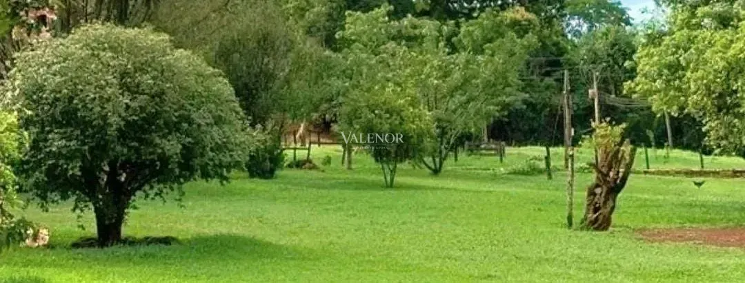 Fazenda, 453 hectares - Foto 6