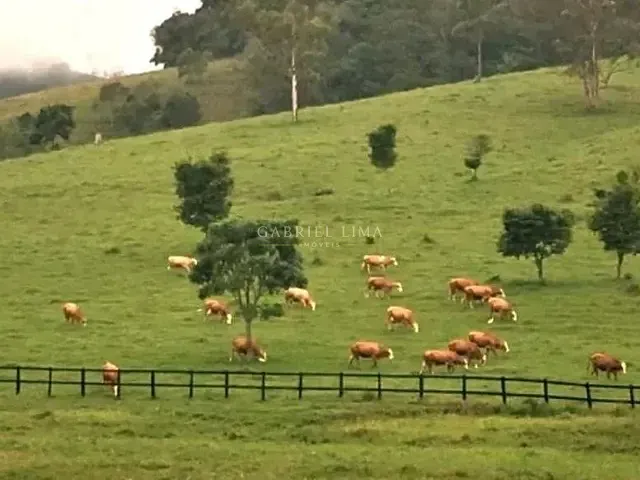 Fazenda com 4530000m² 10 quartos e 8 banheiros, à venda, no bairro Centro em Piracaia