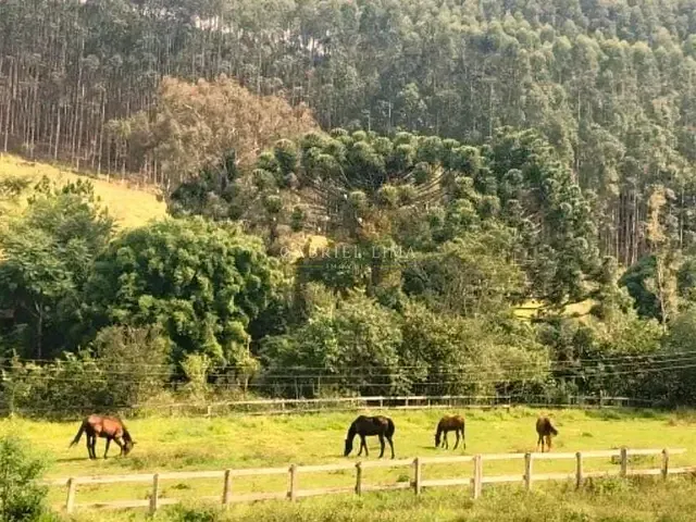 Fazenda com 4530000m² 10 quartos e 8 banheiros, à venda, no bairro Centro em Piracaia