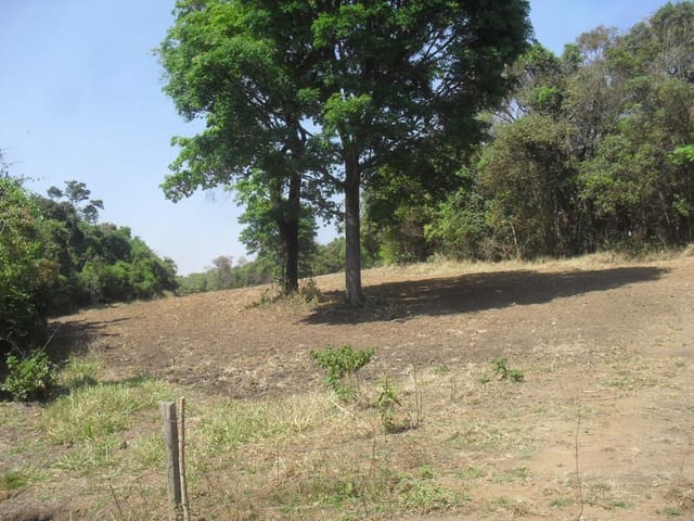 Foto do Fazenda - Fazenda rural à venda, Parque das Gameleiras, Uberaba. | ZUCATO IMOBILIARIA LTDA
