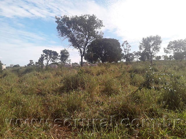 Fazenda com 5400000m² 3 quartos e 2 banheiros, à venda, no bairro rural em Lassance