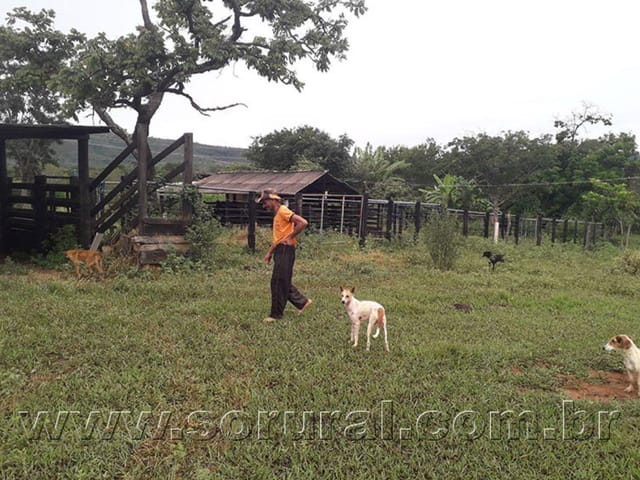 Fazenda com 5400000m² 3 quartos e 2 banheiros, à venda, no bairro rural em Lassance