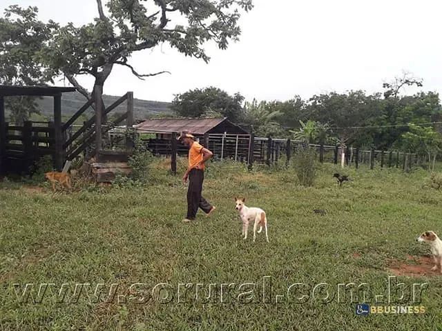 Fazenda com 5400000m² 3 quartos e 2 banheiros, à venda, no bairro rural em Lassance