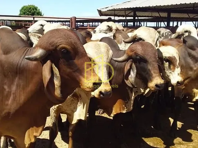Fazenda com 18718216m², à venda, no bairro Centro em Serra Azul