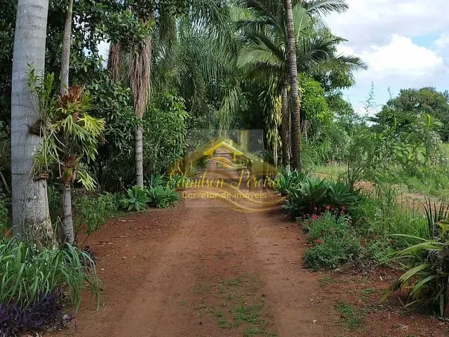 Sítio com 30000m² 3 quartos e 2 banheiros, à venda, no bairro Estrada do Jacutinga em Ibiporã