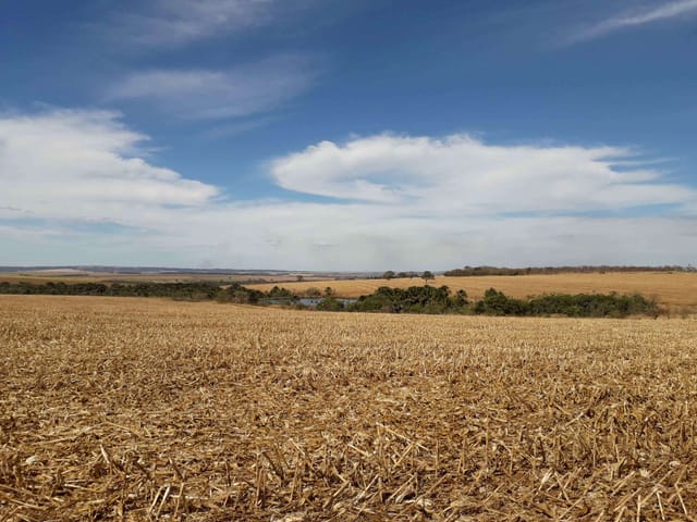 Fazenda com 14520000m², à venda, no bairro Zona Rural em Paraúna